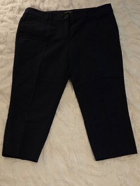 Hilary Radley Women's Cropped / Anklr Pants, Navy W/polka Dot. Size 14 (312)